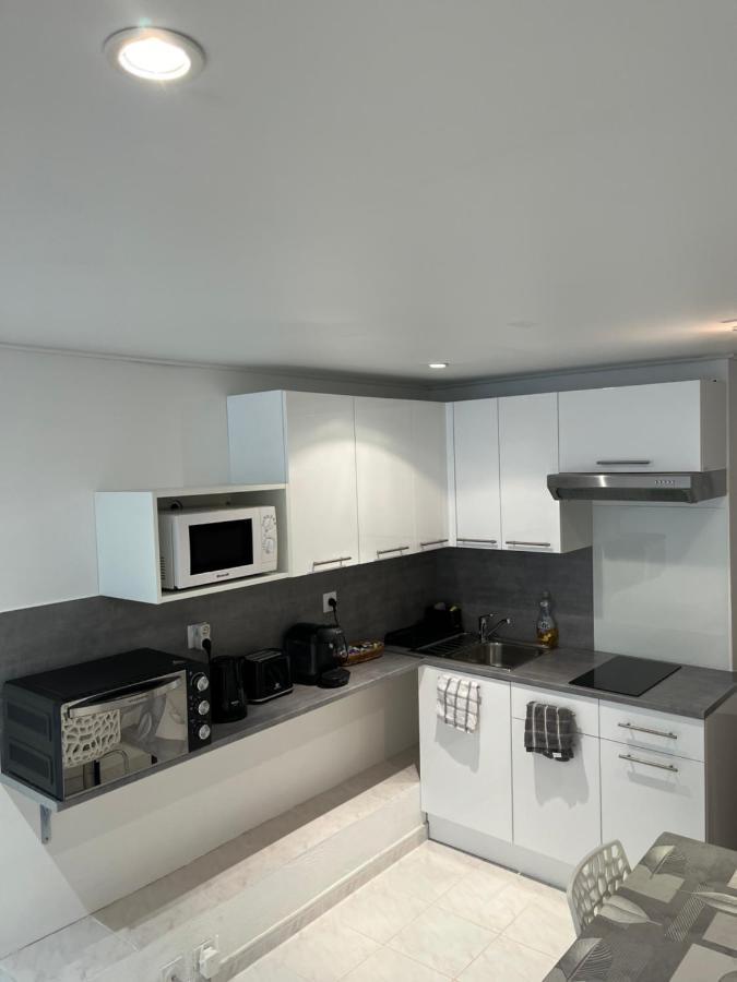 Apartment T2 Avec Jardin Et Piscine Privee Velaux